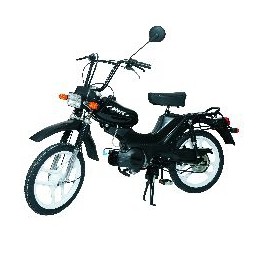 Pony Cross 50