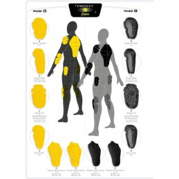 Dorsal Level 1 Bering / Segura XL-6XL